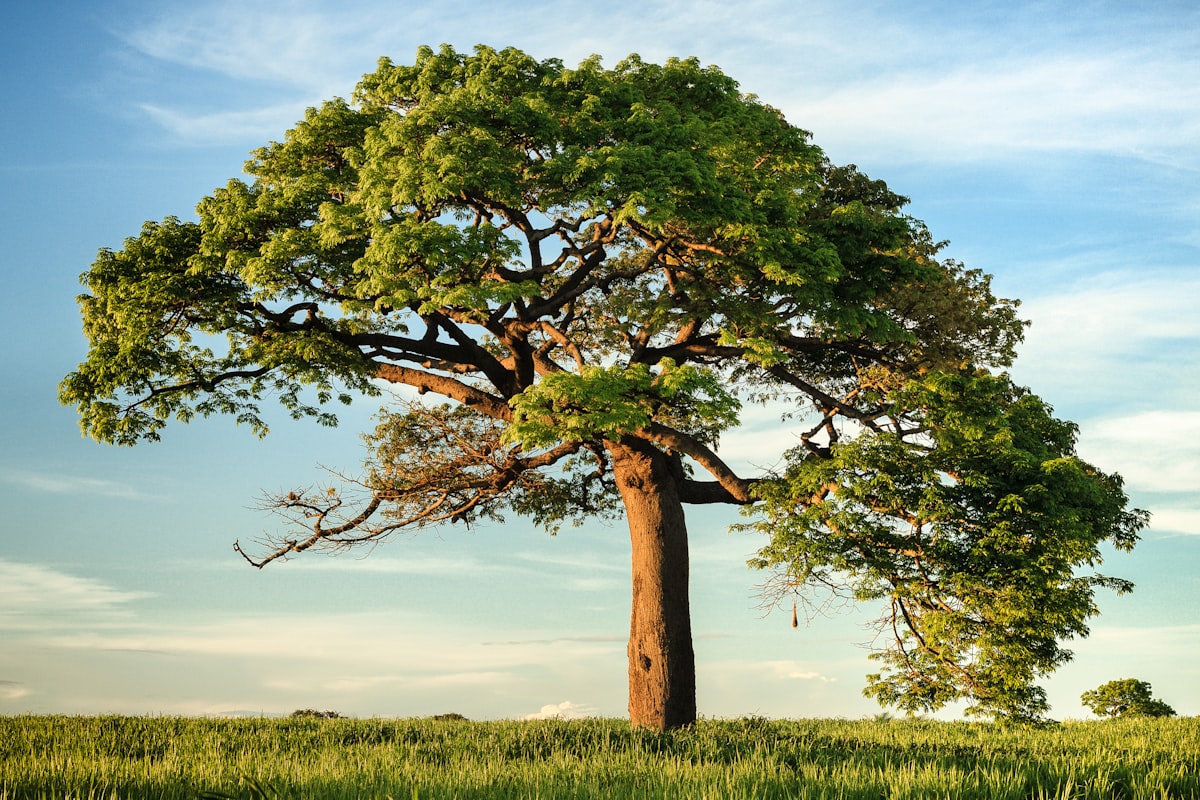7 Healthy Habits That Accelerate Your Recovery