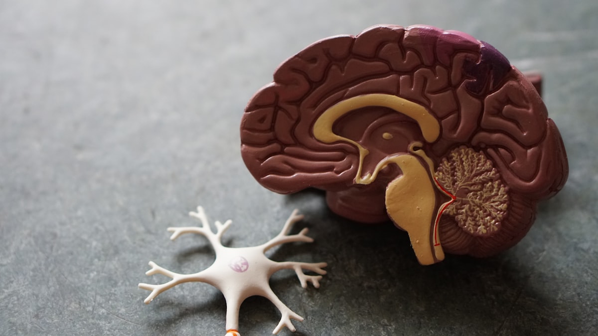 Understanding Pornography Addiction: What Science Says